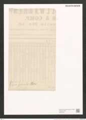 Nitzschia hybrida "var. glacialis" (de-Toni-Nr.: Genus 47, Species 2047) Zeichnungen Sammlung Grunow (NHMW-BOT-W0371874)